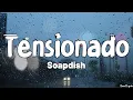 Tensionado (Lyrics) - Soapdish