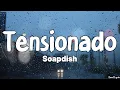 Download Lagu Tensionado (Lyrics) - Soapdish