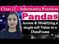 Pandas DataFrame - Access Modifying a single cell Value to a DataFrame CBSE Class 12