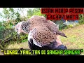 Lagu LOKASI YANG TAK TERPIKIRKAN || DI PINGGIR JALAN BESAR ADA TEKUKUR SEPERTI INI ‼️ ISIAN SEPERTI PESOM