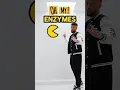 GCSE Biology - Enzyme Revision