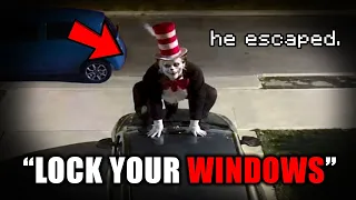 The REAL CAT in the HAT INCIDENT...