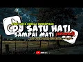 Lagu Dj Satu hati Sampai Mati V1 (slowed) ||Demi cinta ku rela berpisah