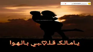 عمرو دياب    حبيبي يامالك قلبي بالهوا خدني معاك خدني   مع كلمات   دندنها