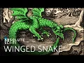 Download Lagu The Bizarre Stories About The Dragon-Like Beast: Tatzelwurm