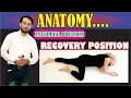 Recovery Position Anatomical Positions Explained Practically Learn Conceptually