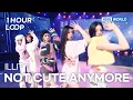 [1HR LOOP🔥] ILLIT - NOT CUTE ANYMORE [Music Bank] | KBS WORLD TV 251205