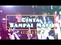 Download Lagu CINTA SAMPAI MATI - (Ael Music) - Terbaru 2025‼️