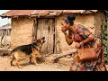 Lagu Every Morning, Dog Barks Abandoned House Until One Day When A Stranger Discovers What No One Noticed