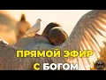 Download Lagu ПРЯМОЙ ЭФИР С БОГОМ: ПРОРОЧЕСКАЯ МОЛИТВА, КОТОРАЯ ПРИЗЫВАЕТ СВЯТОГО ДУХА И ДАРУЕТ ПОКОЙ