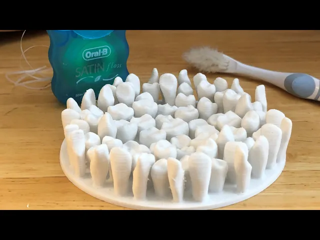 Tooth Dish video thumbnail