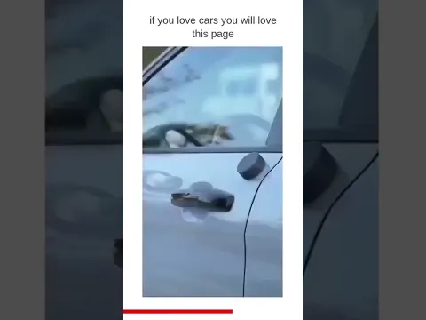 Smart Universal Magnetic Car Phone Holder π€