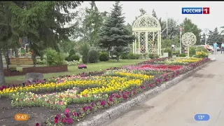 Омские агрономы уже высадили более полумиллиона цветов