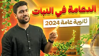 02 الحصة الأولى من السنتر الدعامة في النبات I احياء ثانوية عامة ٢٠٢٤ 