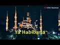 Download Lagu Ya Habibana Abdurrahman Assegaf - cover Ai Khodijah - Full Lirik dan Terjemahan