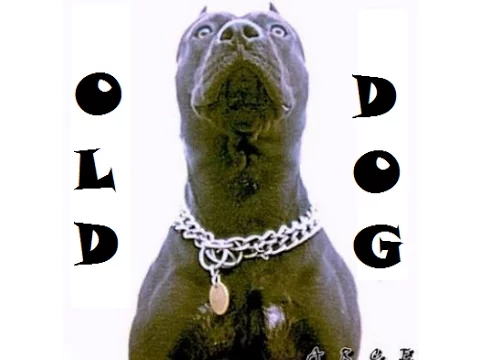 Download MP3 Arce - Old Dog (TIRAERA A ALOY) [Letra y Descarga]