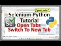 Selenium Python Switch To New Tab Selenium Python Switch To Window Selenium Python Switch Tab