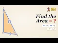 This Triangle Area Looks Impossible Until You Draw One Line GeoMethod