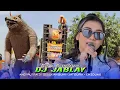 Lagu DJ JABL4Y - DINDA PUSPITASARI | ANDI PUTRA 3 | Sedekah Bumi Jatisura Cikedung Indramayu