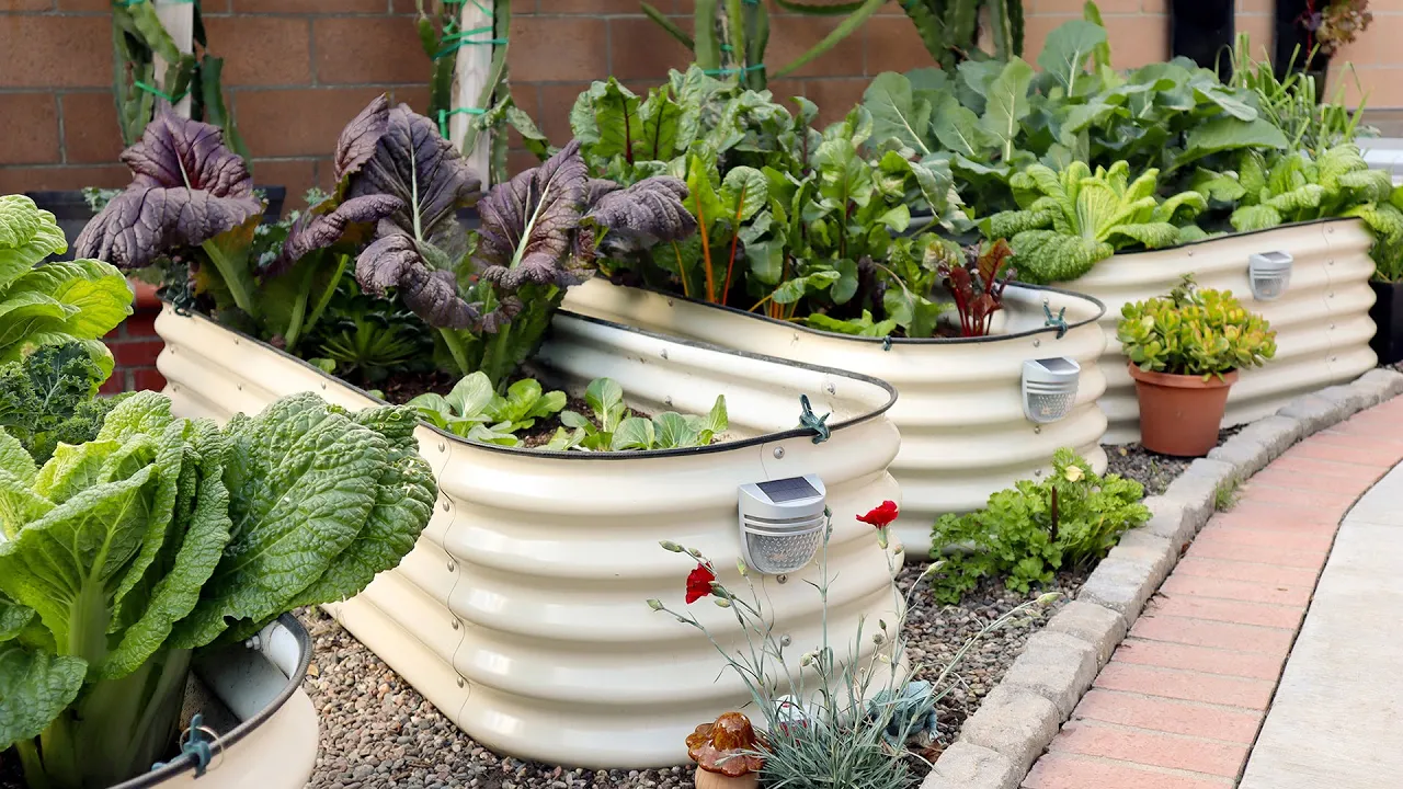 Vego Garden Academy — Vege Garden — Accessible and Modular Raised Garden Beds (YouTube video ad)