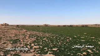 شيلة دقيت سلف  بندر الغيثي   مكشات الشمال           دندنها