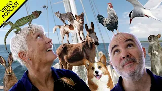 Animals on Boats (Good Ones and Bad Ones!) | Sailing Podcast 046