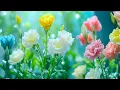 Download Lagu Музыка против стресса и усталости – тёплые мелодии, которые поднимут вам настроение!