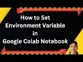 How to Set Environment Variable in Google Colab Notebook
