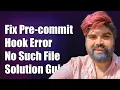 Fixing Pre-commit Hook Error No Such File or Directory Solution Guide