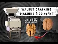 Walnut Cracking Machine productivity 100