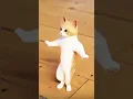 Download Lagu Patli kamariya mor hai hai #cat #reels #viral #shorts #video  #Patli #kamriya #comedy #chetanmonga