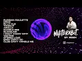 Download Lagu Whiterabit Breakbeat Mashup Stereo Love Mixtape By Risen