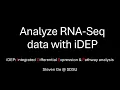 Analyze RNA-Seq data with IDEP an interactive website
