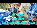 Lagu Mancing di kolam dadakan ternyata seru juga❗gurame dan bawal, mulai jam 3 sore