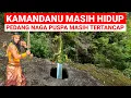 VIRAL..! KAMANDANU MASIH HIDUP PEDANGNYA MASIH TERTANCAP LAGI VIRAL DI JAWA TIMUR