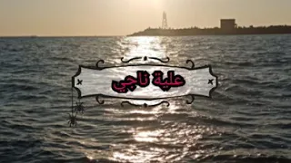 مهرجان متسيطين شارع البحر   حمو بيكا ميسو ميسره دچي فيجوو الدخلاوي دندنها