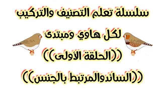 تصنيف والتركيب Zebra Fincn قواعد أساسية لمعرفة التصنيف العلمي 