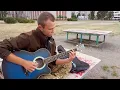 Партизанська cover Хорта