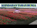 Download Lagu KEMBANG 7 WARNA..