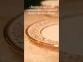 Summit Gold - 24K gold Crockery by Noritake India I Luxury Tableware I Gifting