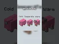 NEW SHEEP IN MINECRAFT