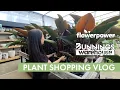 COME PLANT SHOPPING Houseplant shopping Vlog Bunnings Flower Power