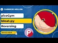 picoGym picoCTF Exercise bloat py