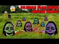 Download Lagu SILUMAN ULAR ALPHA WARNA WARNI?!