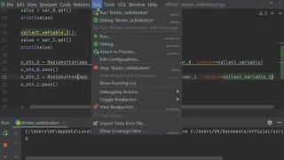 Tkinter GUI - Checkbox Radiobutton and Messagebox