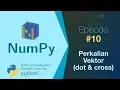 Belajar NumPy Python Data Analisis - Perkalian Vektor dot dan cross