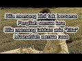 Download Lagu Hanin Dhiya ~ Sempat (lirik lagu)