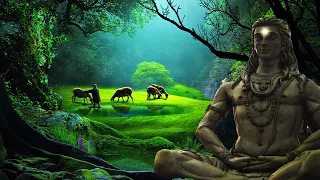 528Hz Energy CLEANSE Yourself Your Home Heal Old Negative Energies From Your House Frequency 