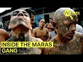 Download Lagu El Salvador Mega Prisons For Deadly Maras Gang Members | Witness | Gang Violence Documentary