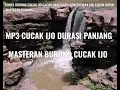 Download Lagu MASTERAN SUARA BURUNG CUCAK IJO DAN SUARA AIR